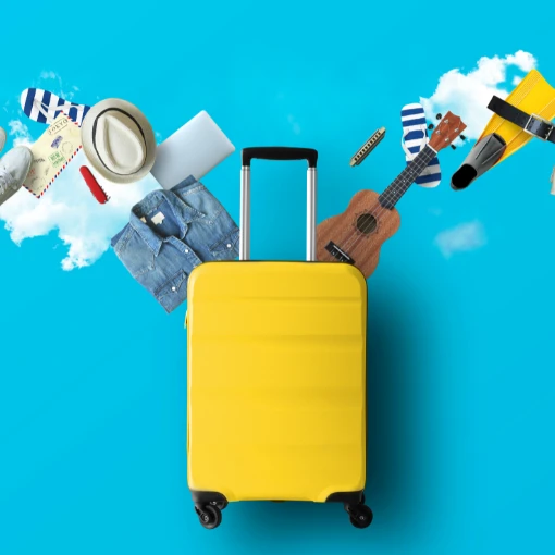 Bags and Travel / Trave